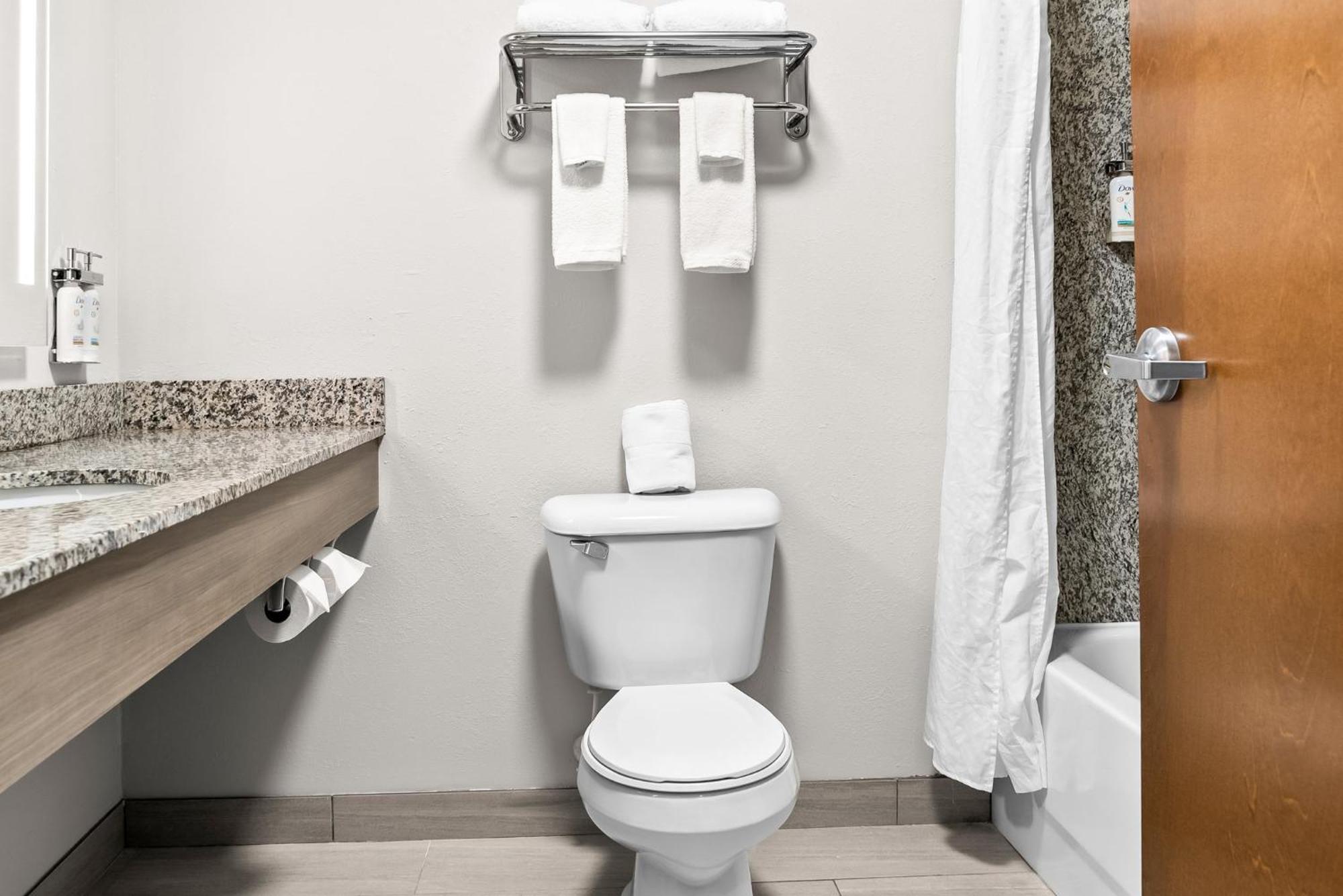 Holiday Inn Express & Suites Detroit - Novi By Ihg Bagian luar foto